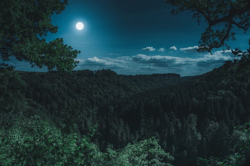 Full Moon Revelry